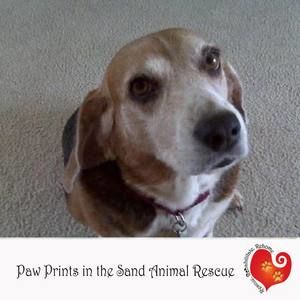 Meet your Posher, Gregory